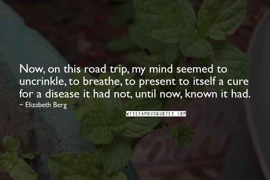 Elizabeth Berg Quotes: Now, on this road trip, my mind seemed to uncrinkle, to breathe, to present to itself a cure for a disease it had not, until now, known it had.