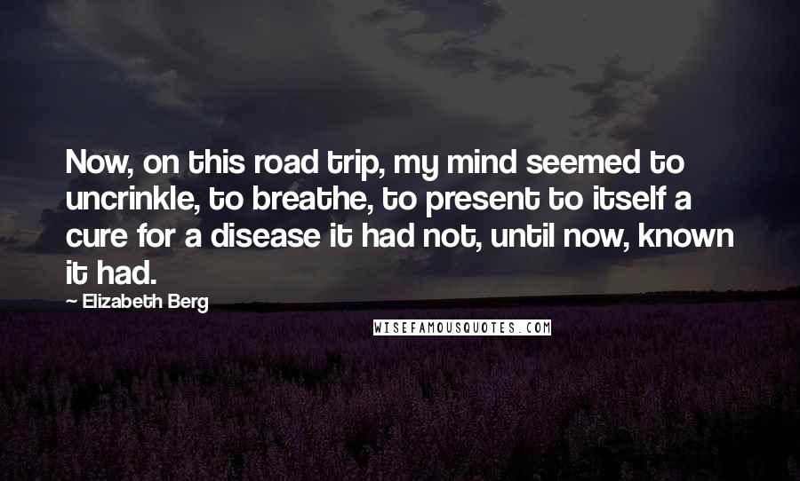 Elizabeth Berg Quotes: Now, on this road trip, my mind seemed to uncrinkle, to breathe, to present to itself a cure for a disease it had not, until now, known it had.