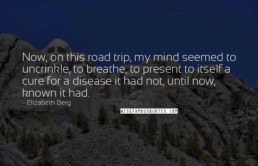 Elizabeth Berg Quotes: Now, on this road trip, my mind seemed to uncrinkle, to breathe, to present to itself a cure for a disease it had not, until now, known it had.