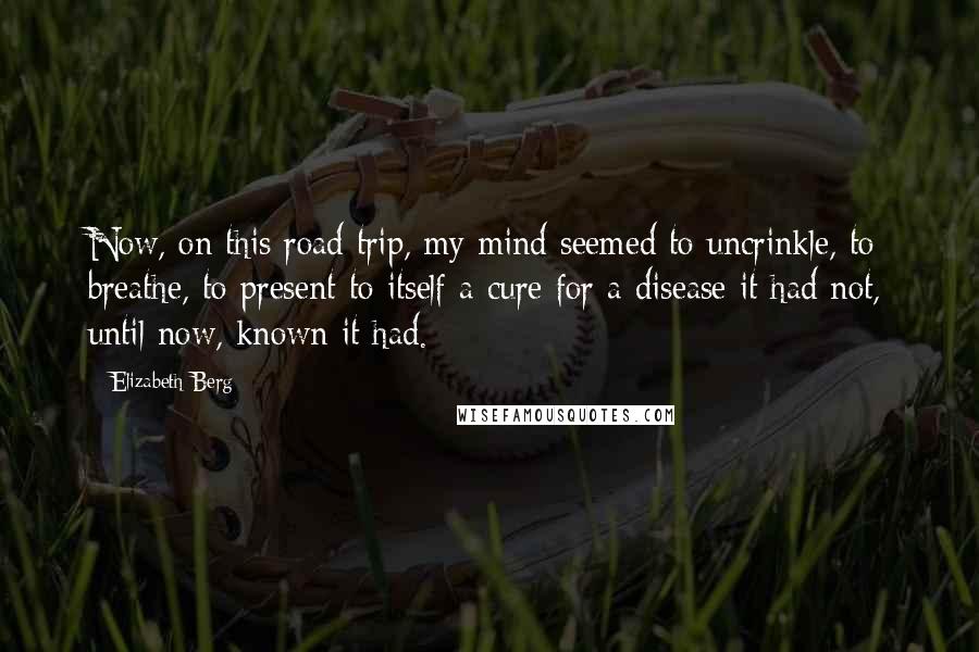 Elizabeth Berg Quotes: Now, on this road trip, my mind seemed to uncrinkle, to breathe, to present to itself a cure for a disease it had not, until now, known it had.