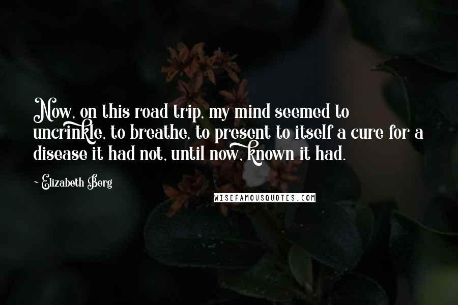 Elizabeth Berg Quotes: Now, on this road trip, my mind seemed to uncrinkle, to breathe, to present to itself a cure for a disease it had not, until now, known it had.