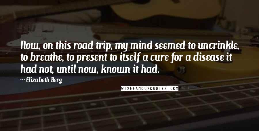 Elizabeth Berg Quotes: Now, on this road trip, my mind seemed to uncrinkle, to breathe, to present to itself a cure for a disease it had not, until now, known it had.