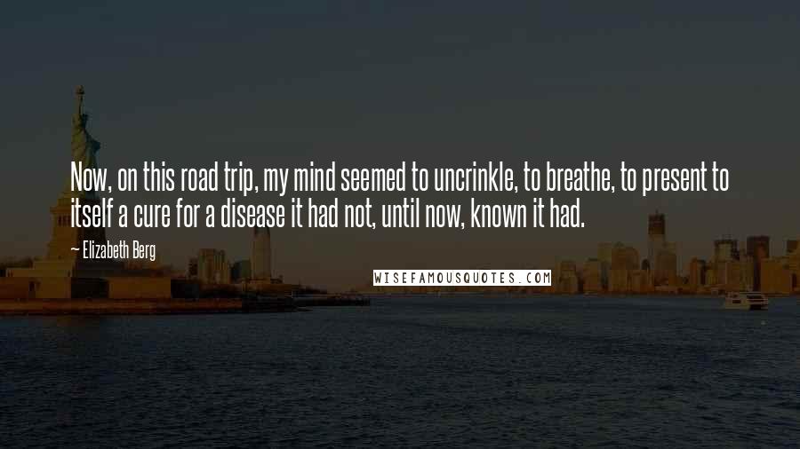 Elizabeth Berg Quotes: Now, on this road trip, my mind seemed to uncrinkle, to breathe, to present to itself a cure for a disease it had not, until now, known it had.