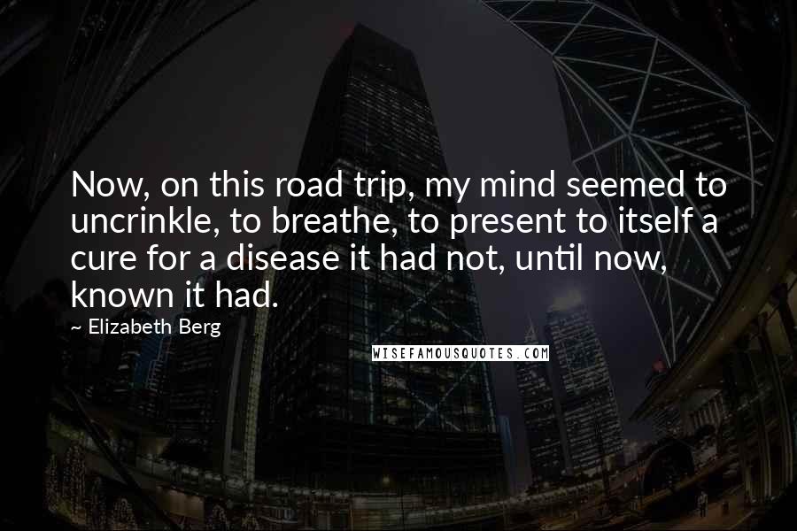 Elizabeth Berg Quotes: Now, on this road trip, my mind seemed to uncrinkle, to breathe, to present to itself a cure for a disease it had not, until now, known it had.