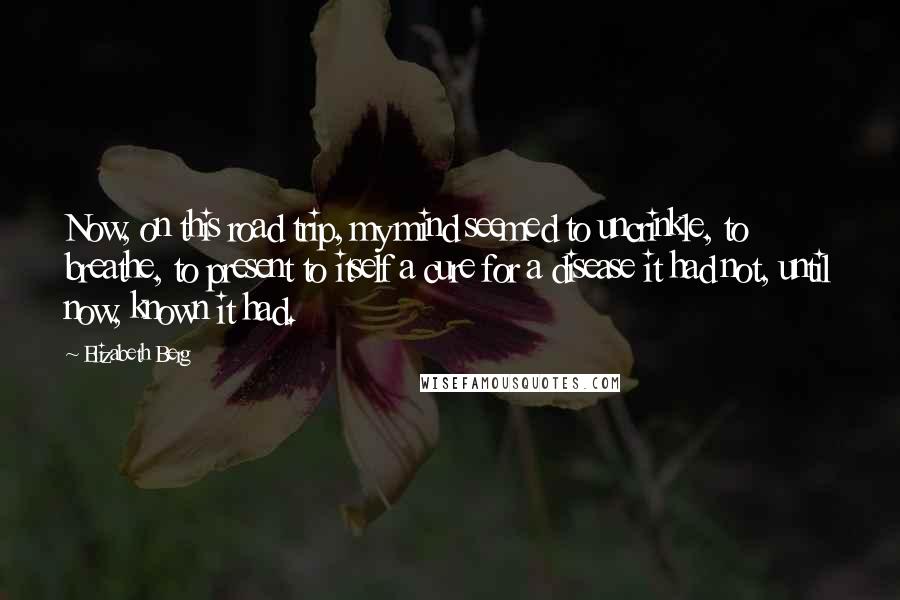 Elizabeth Berg Quotes: Now, on this road trip, my mind seemed to uncrinkle, to breathe, to present to itself a cure for a disease it had not, until now, known it had.