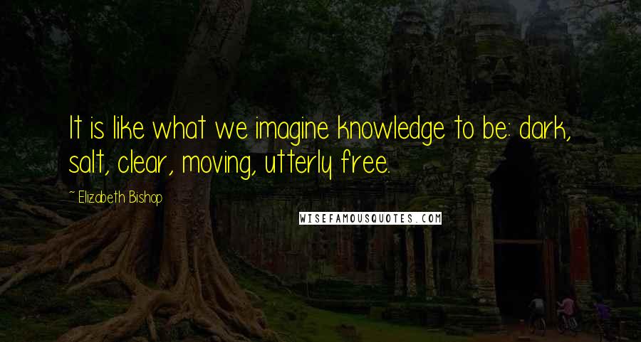 Elizabeth Bishop Quotes: It is like what we imagine knowledge to be: dark, salt, clear, moving, utterly free.