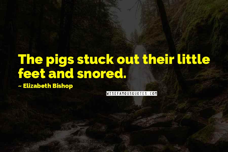 Elizabeth Bishop Quotes: The pigs stuck out their little feet and snored.