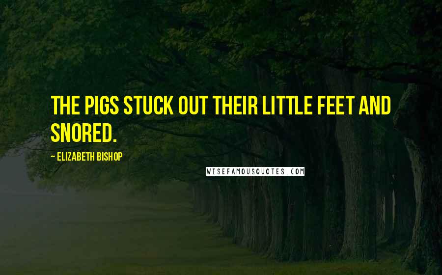 Elizabeth Bishop Quotes: The pigs stuck out their little feet and snored.