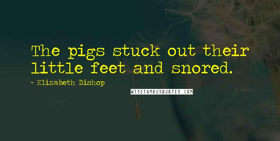 Elizabeth Bishop Quotes: The pigs stuck out their little feet and snored.