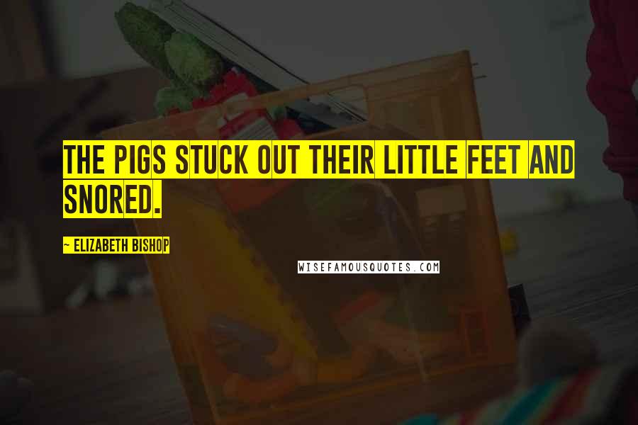 Elizabeth Bishop Quotes: The pigs stuck out their little feet and snored.