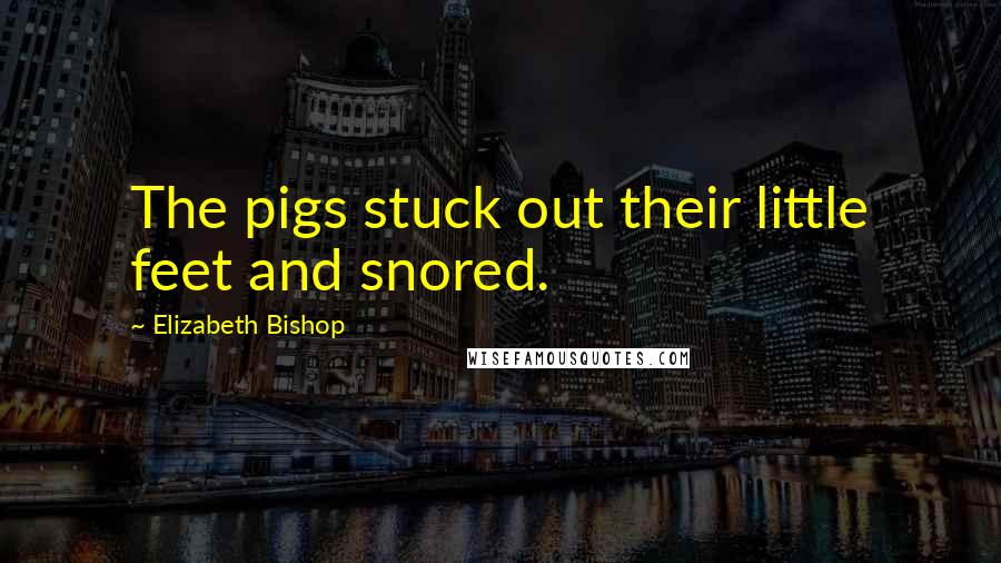 Elizabeth Bishop Quotes: The pigs stuck out their little feet and snored.