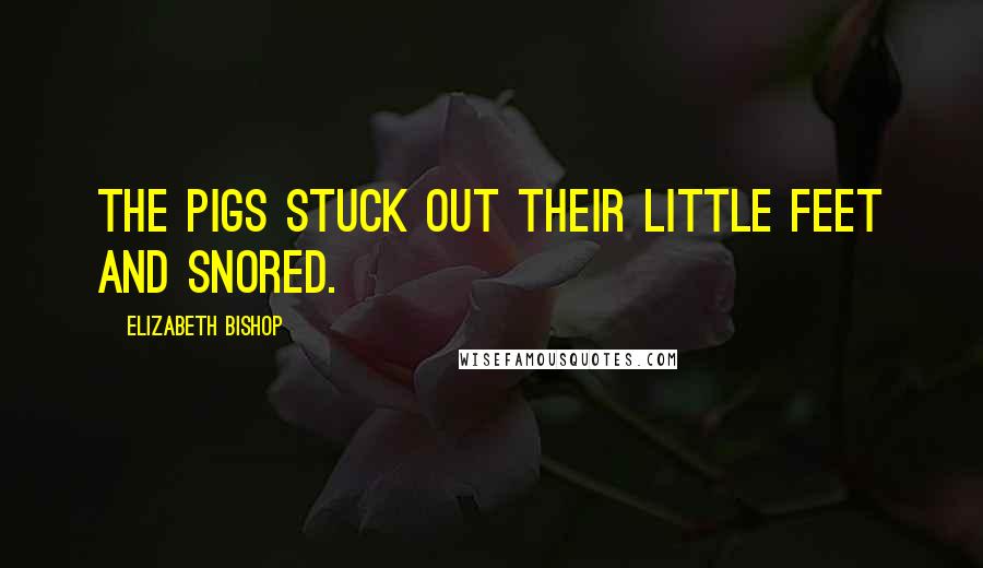 Elizabeth Bishop Quotes: The pigs stuck out their little feet and snored.