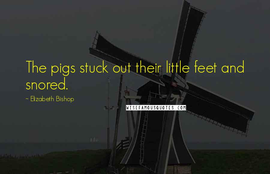 Elizabeth Bishop Quotes: The pigs stuck out their little feet and snored.