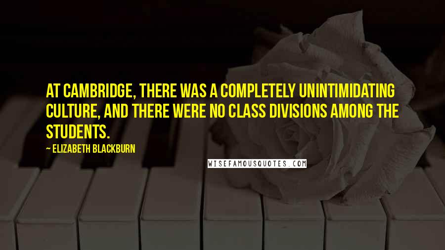 Elizabeth Blackburn Quotes: At Cambridge, there was a completely unintimidating culture, and there were no class divisions among the students.