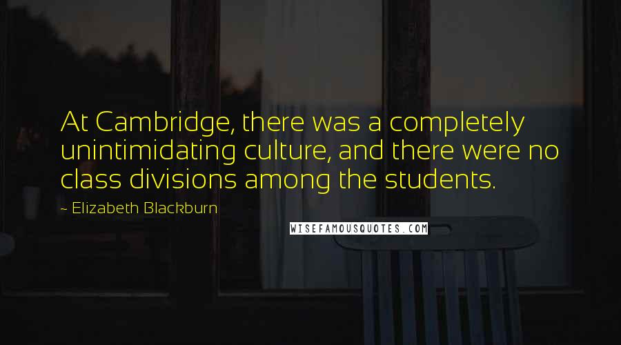 Elizabeth Blackburn Quotes: At Cambridge, there was a completely unintimidating culture, and there were no class divisions among the students.