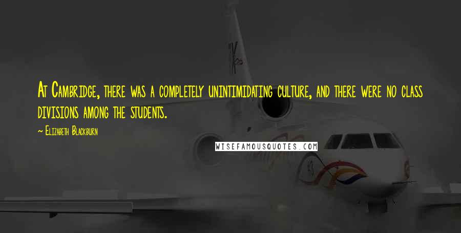 Elizabeth Blackburn Quotes: At Cambridge, there was a completely unintimidating culture, and there were no class divisions among the students.