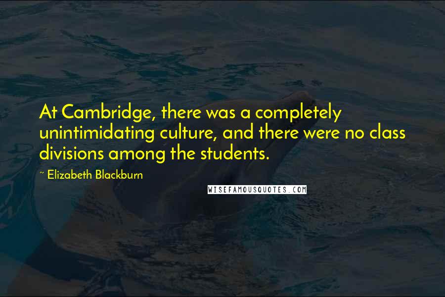 Elizabeth Blackburn Quotes: At Cambridge, there was a completely unintimidating culture, and there were no class divisions among the students.