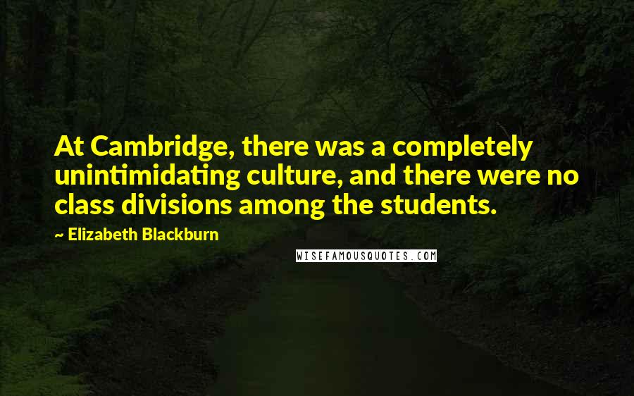 Elizabeth Blackburn Quotes: At Cambridge, there was a completely unintimidating culture, and there were no class divisions among the students.