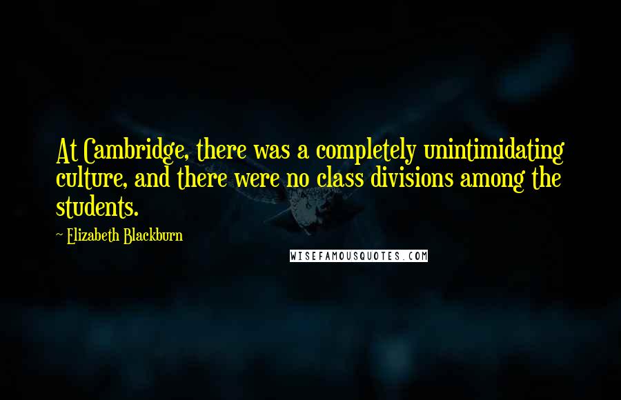 Elizabeth Blackburn Quotes: At Cambridge, there was a completely unintimidating culture, and there were no class divisions among the students.