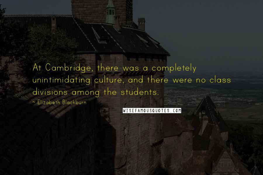 Elizabeth Blackburn Quotes: At Cambridge, there was a completely unintimidating culture, and there were no class divisions among the students.