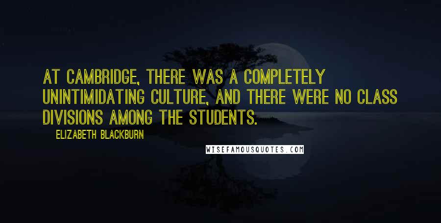 Elizabeth Blackburn Quotes: At Cambridge, there was a completely unintimidating culture, and there were no class divisions among the students.