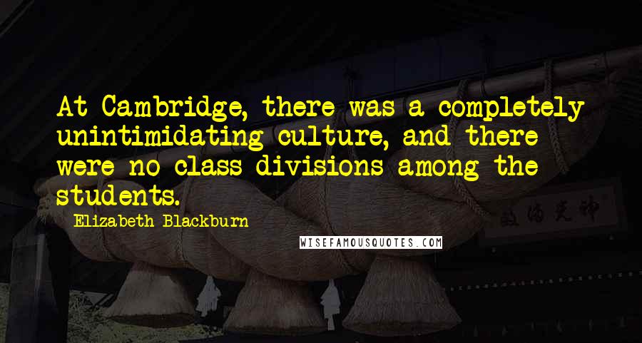 Elizabeth Blackburn Quotes: At Cambridge, there was a completely unintimidating culture, and there were no class divisions among the students.