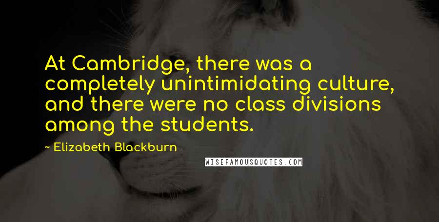 Elizabeth Blackburn Quotes: At Cambridge, there was a completely unintimidating culture, and there were no class divisions among the students.