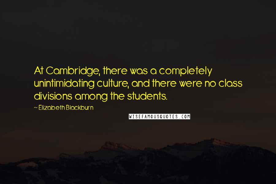 Elizabeth Blackburn Quotes: At Cambridge, there was a completely unintimidating culture, and there were no class divisions among the students.