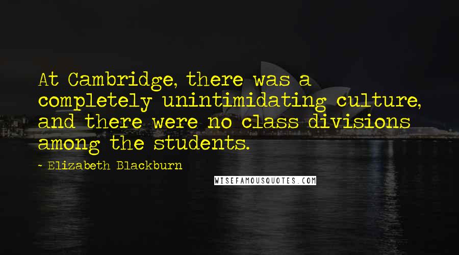 Elizabeth Blackburn Quotes: At Cambridge, there was a completely unintimidating culture, and there were no class divisions among the students.