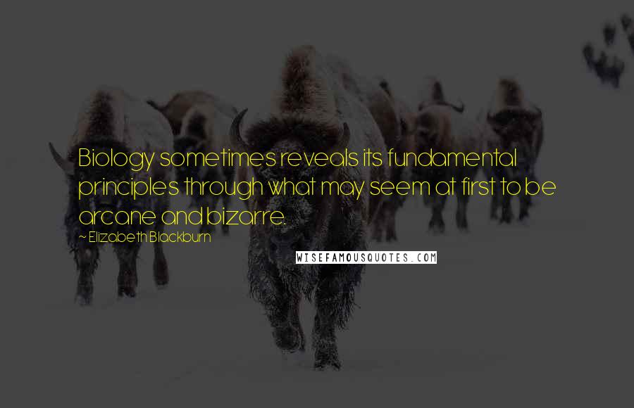 Elizabeth Blackburn Quotes: Biology sometimes reveals its fundamental principles through what may seem at first to be arcane and bizarre.