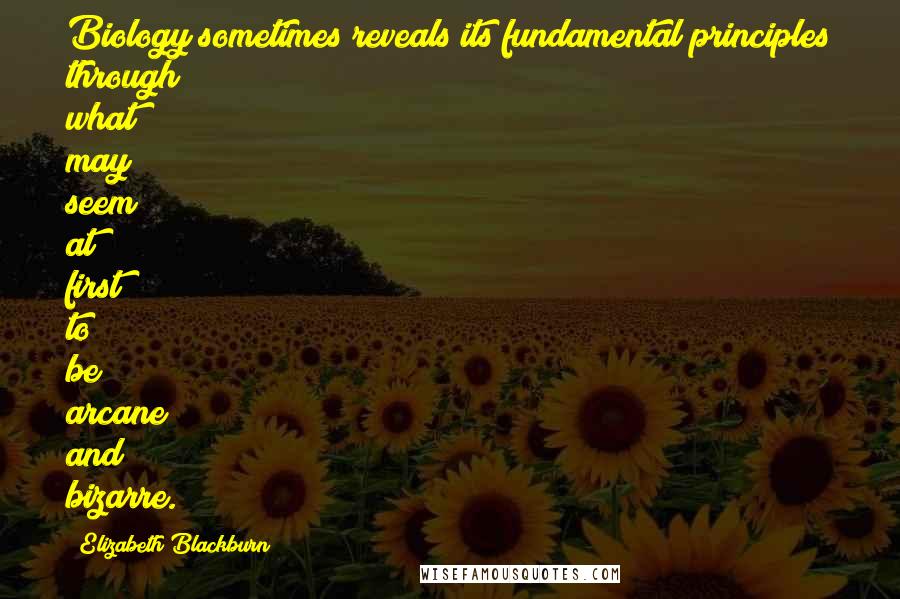 Elizabeth Blackburn Quotes: Biology sometimes reveals its fundamental principles through what may seem at first to be arcane and bizarre.