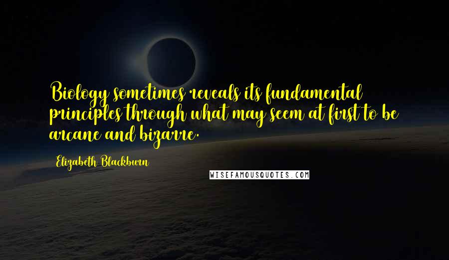 Elizabeth Blackburn Quotes: Biology sometimes reveals its fundamental principles through what may seem at first to be arcane and bizarre.