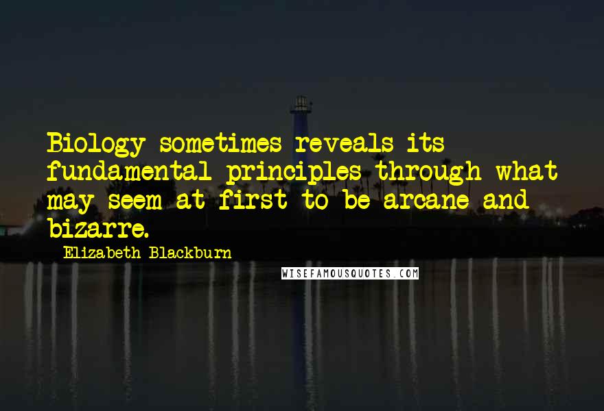 Elizabeth Blackburn Quotes: Biology sometimes reveals its fundamental principles through what may seem at first to be arcane and bizarre.