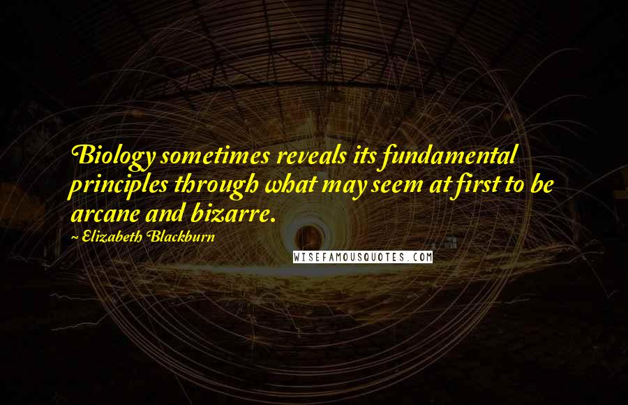 Elizabeth Blackburn Quotes: Biology sometimes reveals its fundamental principles through what may seem at first to be arcane and bizarre.