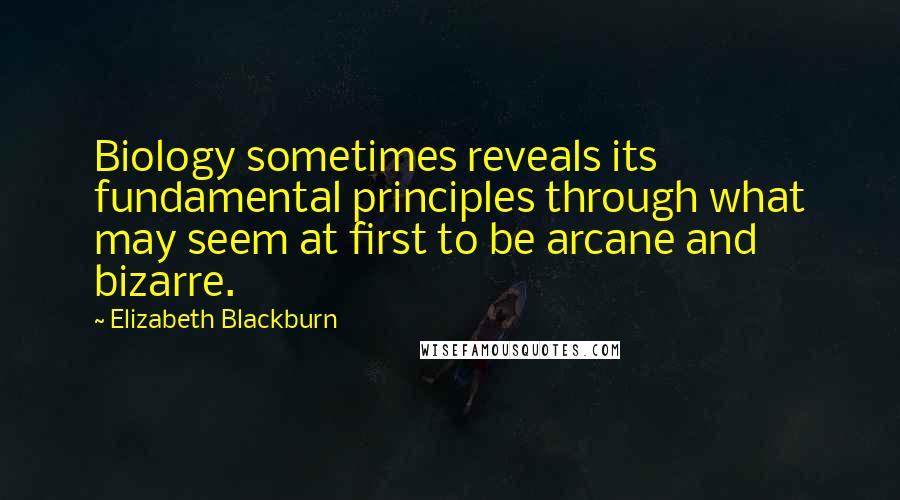 Elizabeth Blackburn Quotes: Biology sometimes reveals its fundamental principles through what may seem at first to be arcane and bizarre.