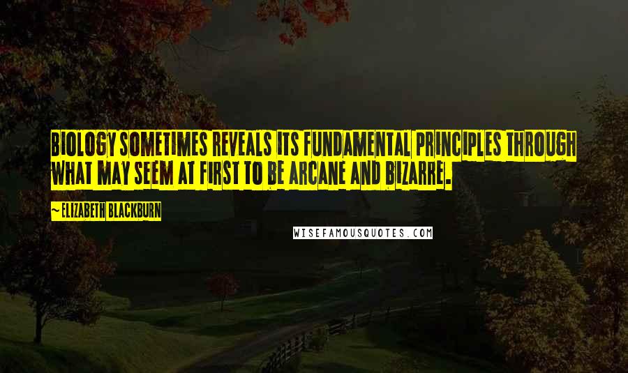 Elizabeth Blackburn Quotes: Biology sometimes reveals its fundamental principles through what may seem at first to be arcane and bizarre.
