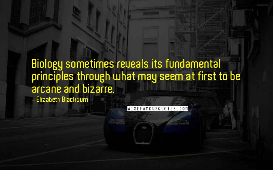 Elizabeth Blackburn Quotes: Biology sometimes reveals its fundamental principles through what may seem at first to be arcane and bizarre.