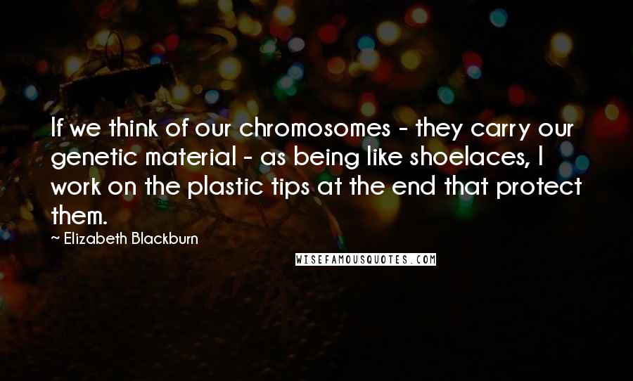 Elizabeth Blackburn Quotes: If we think of our chromosomes - they carry our genetic material - as being like shoelaces, I work on the plastic tips at the end that protect them.