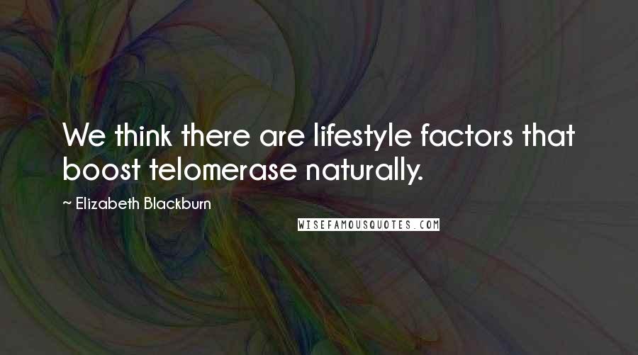 Elizabeth Blackburn Quotes: We think there are lifestyle factors that boost telomerase naturally.
