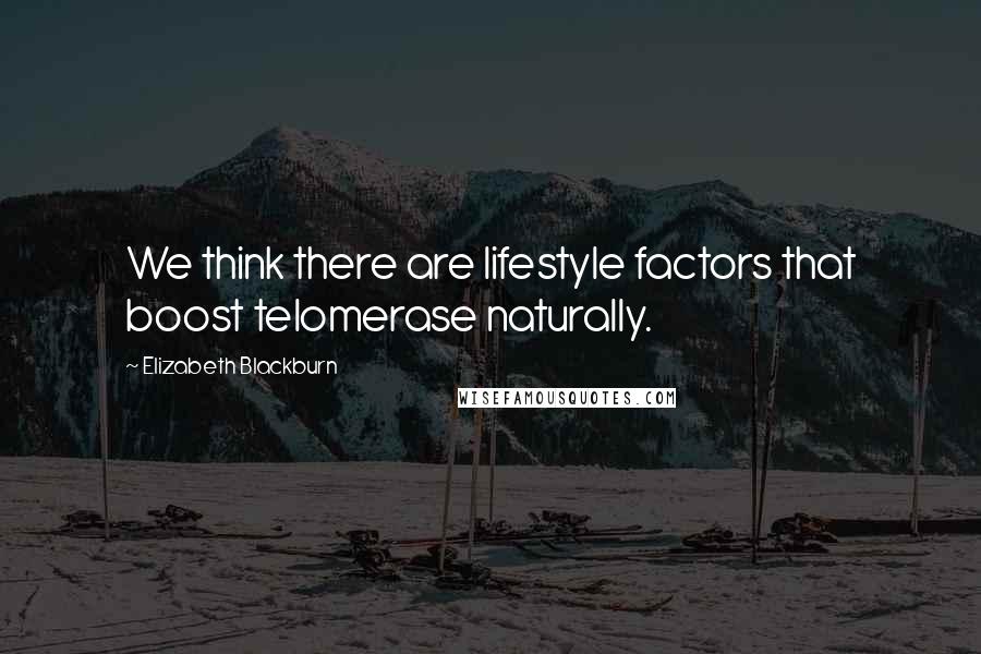 Elizabeth Blackburn Quotes: We think there are lifestyle factors that boost telomerase naturally.