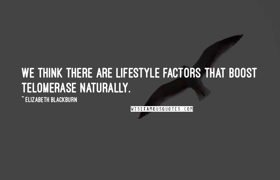 Elizabeth Blackburn Quotes: We think there are lifestyle factors that boost telomerase naturally.