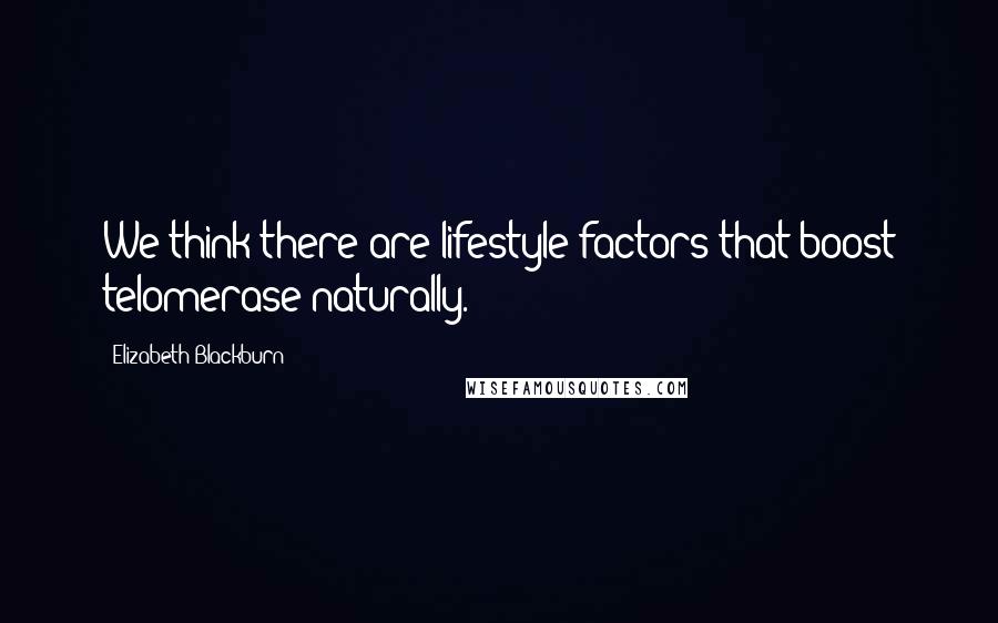 Elizabeth Blackburn Quotes: We think there are lifestyle factors that boost telomerase naturally.