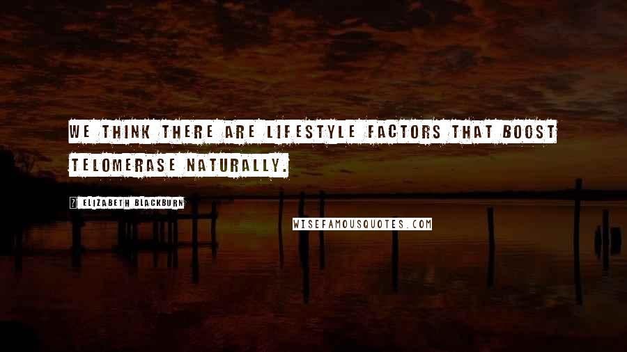 Elizabeth Blackburn Quotes: We think there are lifestyle factors that boost telomerase naturally.