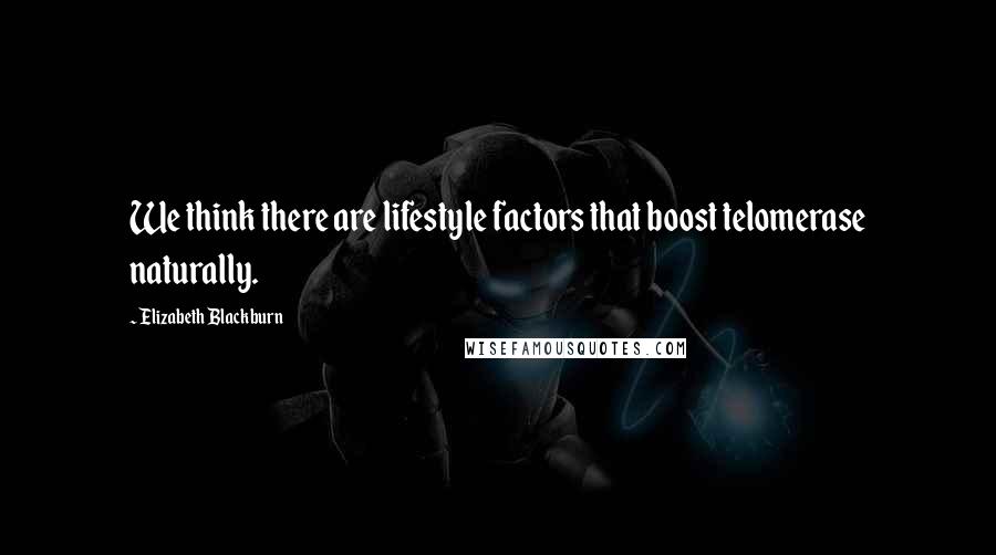 Elizabeth Blackburn Quotes: We think there are lifestyle factors that boost telomerase naturally.