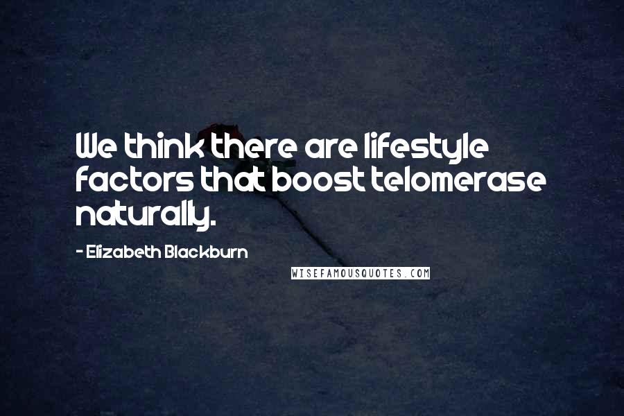 Elizabeth Blackburn Quotes: We think there are lifestyle factors that boost telomerase naturally.