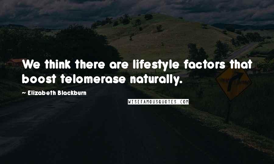 Elizabeth Blackburn Quotes: We think there are lifestyle factors that boost telomerase naturally.