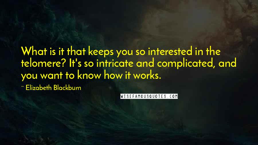 Elizabeth Blackburn Quotes: What is it that keeps you so interested in the telomere? It's so intricate and complicated, and you want to know how it works.