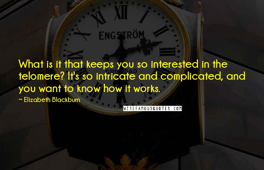 Elizabeth Blackburn Quotes: What is it that keeps you so interested in the telomere? It's so intricate and complicated, and you want to know how it works.