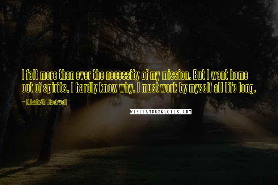 Elizabeth Blackwell Quotes: I felt more than ever the necessity of my mission. But I went home out of spirits, I hardly know why. I must work by myself all life long.