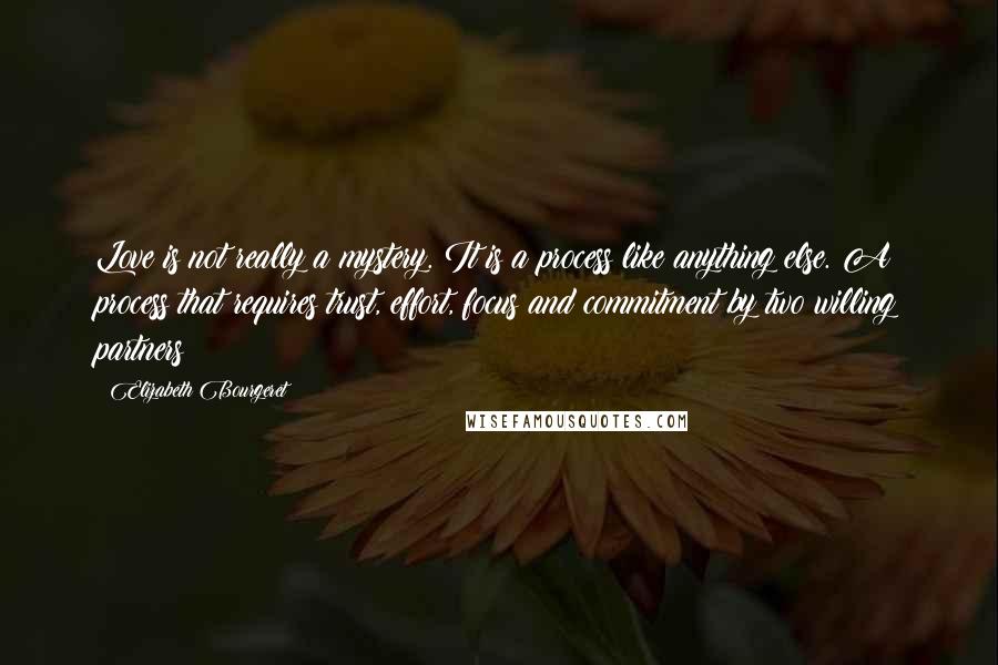 Elizabeth Bourgeret Quotes: Love is not really a mystery. It is a process like anything else. A process that requires trust, effort, focus and commitment by two willing partners